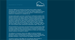 Desktop Screenshot of djibian.com